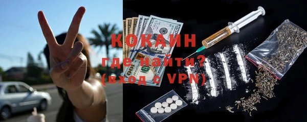 индика Володарск