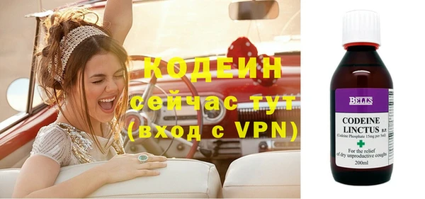 индика Володарск