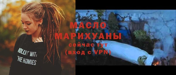 индика Володарск