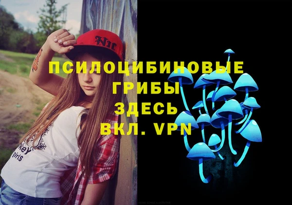 индика Володарск