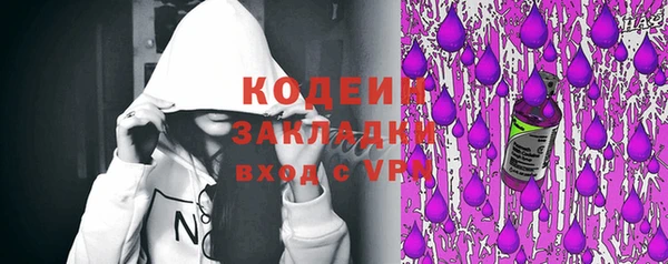 индика Володарск