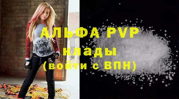 индика Володарск