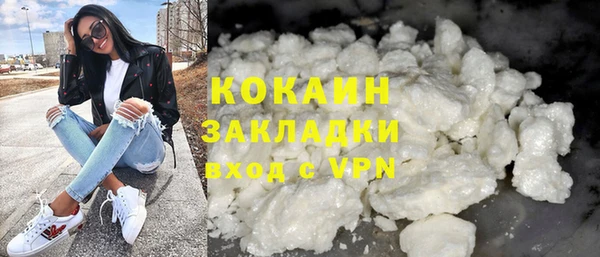 индика Володарск