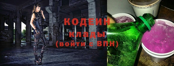 индика Володарск