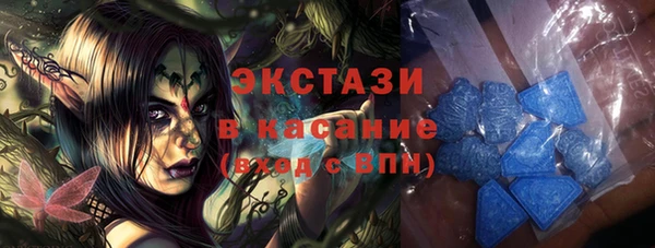 индика Володарск