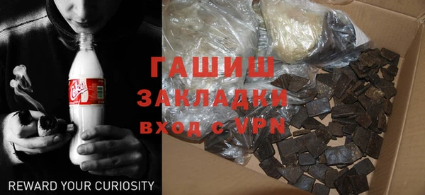индика Володарск