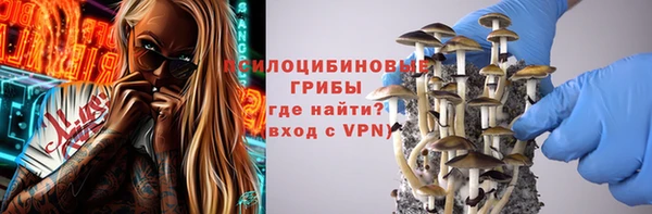 индика Володарск