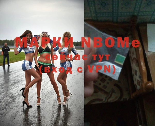 индика Володарск