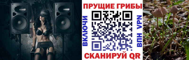 Галлюциногенные грибы GOLDEN TEACHER  где купить наркоту  Волоколамск 
